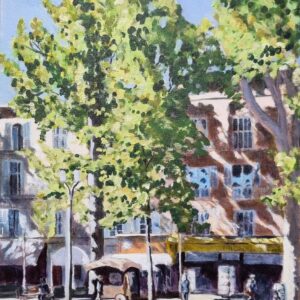 Dappled shade, Aix en Provence